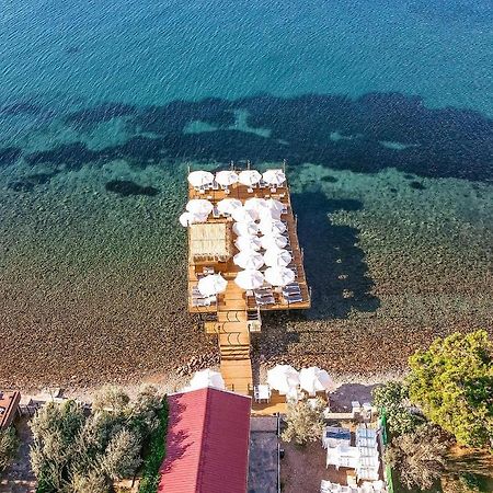 Assosa Hotel Ayvacik Kültér fotó